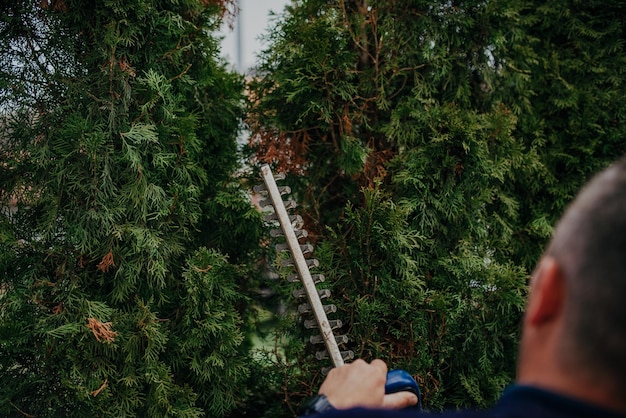 Photo hedge trimming job. caucasian gardener with gasoline hedge trimmer shaping wall of thujas in a garden.macro