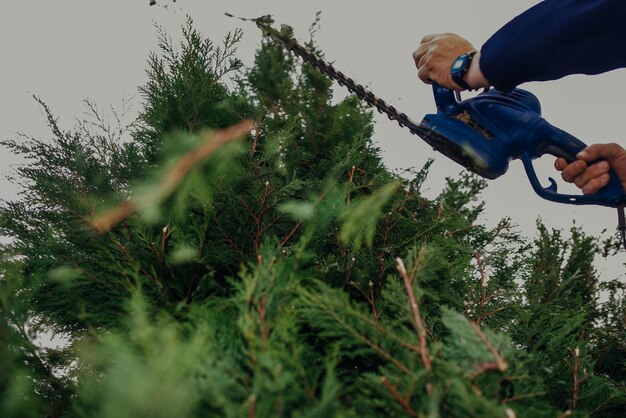 Photo hedge trimming job. caucasian gardener with gasoline hedge trimmer shaping wall of thujas in a garden.macro