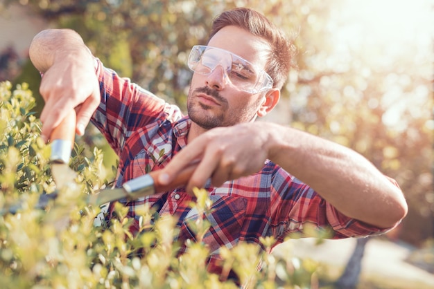 Hedge trimmingworks in a garden