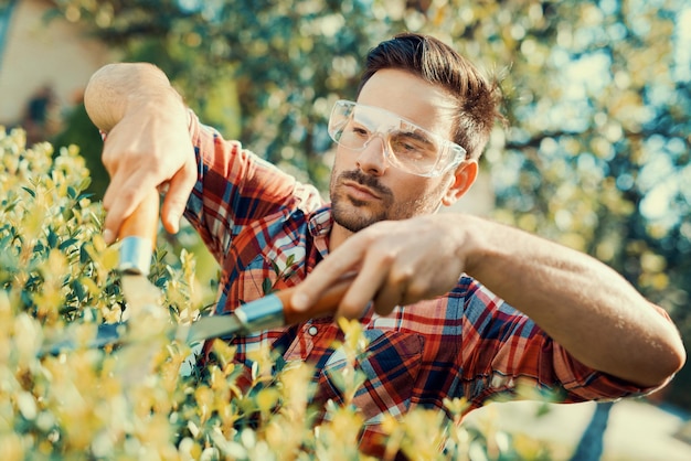 Hedge trimmingworks in a garden