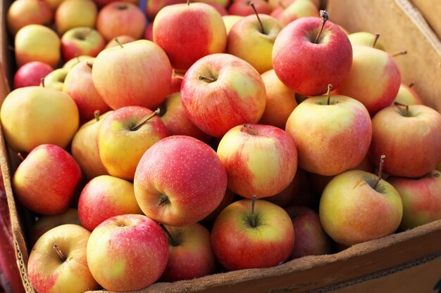 Heerlijke kleurrijke zoetzure appels in de doos op de markt