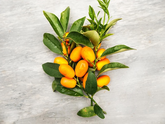 Heerlijke oranje kumquats op een marmeren achtergrond