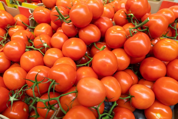 Heerlijke rijpe verse tomaten