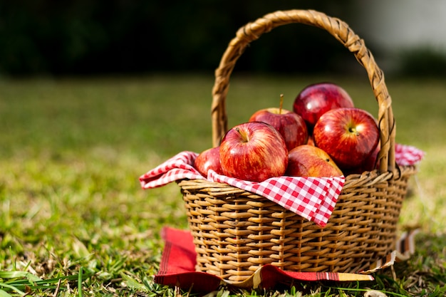 Foto heerlijke rode appels in stromand