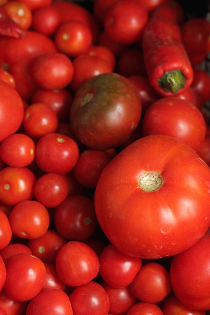 Heerlijke rode tomaten Veel rode tomaten achtergrond Rijpe tomaten gekweekt in de tuin Close up