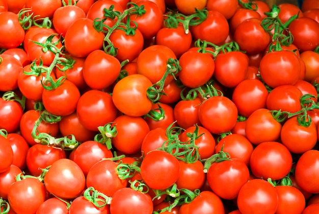 Heerlijke rode tomaten. zomer dienblad markt landbouw boerderij vol met biologische groenten het kan worden gebruikt als.