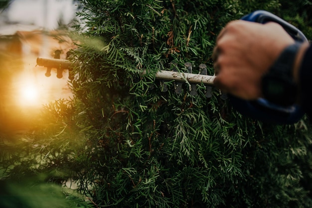 Heggen snoeien baan. Kaukasische tuinman met benzine heggenschaar vormgeven muur van Thujas in een Garden.Macro