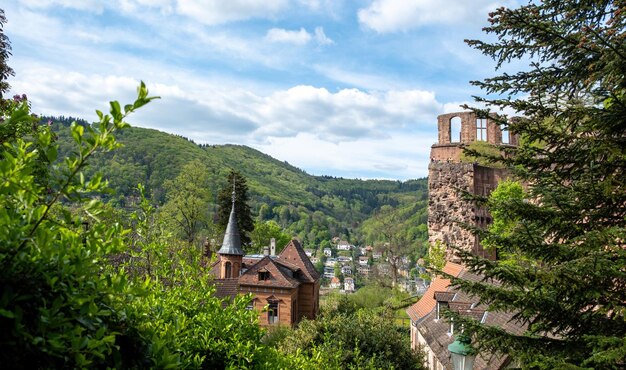 Heidelberg Middeleeuwse oude stad Panoramisch overzicht van het oranje dak van het gebouw Duitsland natuur