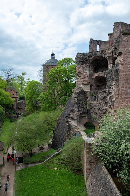 Heidelberg paleis populaire bestemming in Duitsland natuur Mensen bewonderen oude ruïnes Verticale