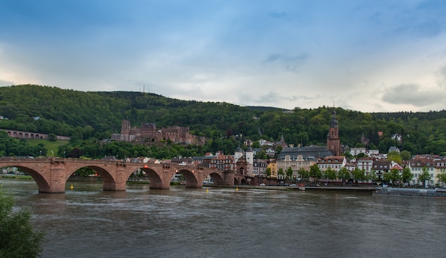 Heidelberg-stad van over de rivier