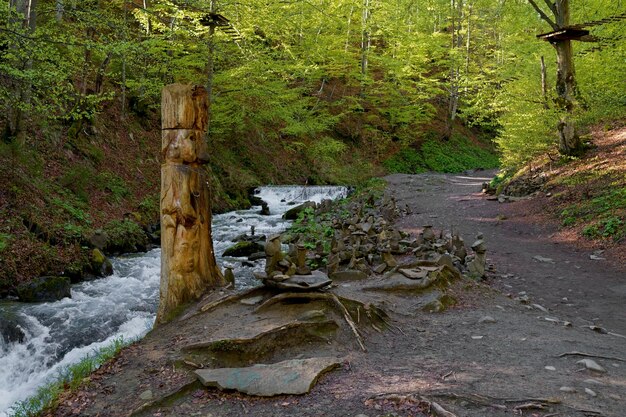 Heidense stenen beelden in de bergen Karpatische whaterfall