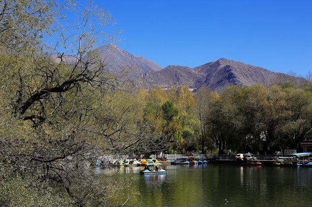 heilig meer in het landschap van Tibet