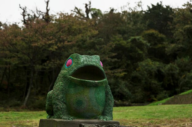 heilige kikker in de tempeltuin