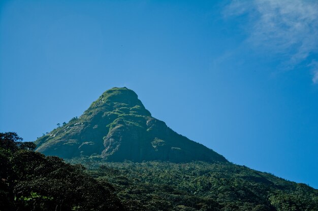 Heilige Sri Paada-piek van Nallathanniya Sri Lanka