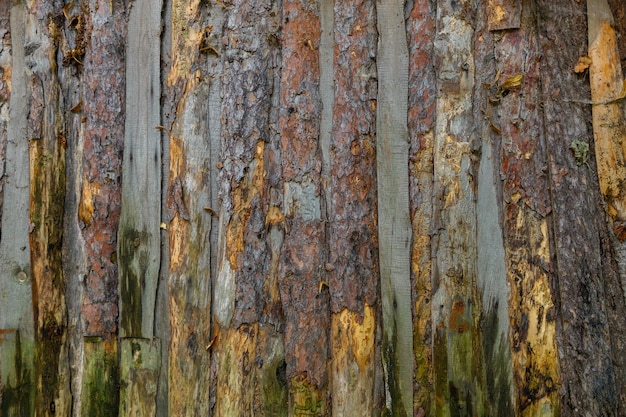 Hek of muur van oude planken zonder randen Houten croaker plaat textuur platte full frame achtergrond