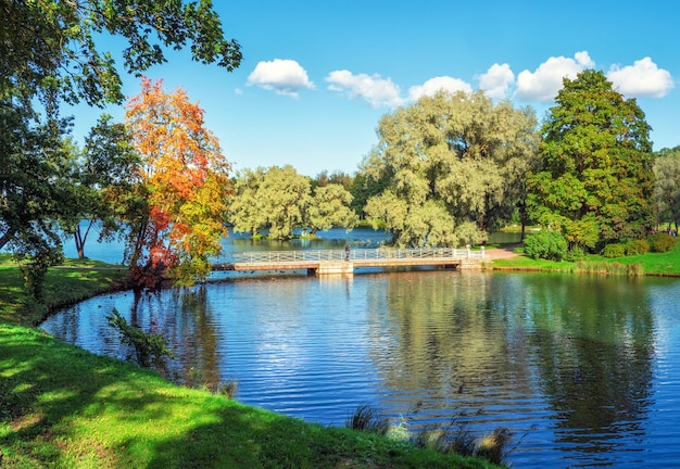 Helder de herfstlandschap met een rode boom op het meer in het park. Gatchina. Rusland.