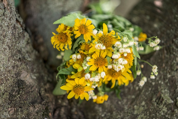 Helder gele bloemen op boom