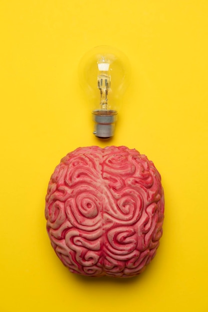 Helder idee Hersenen met gloeilamp inspiratie innovatie oplossing concept