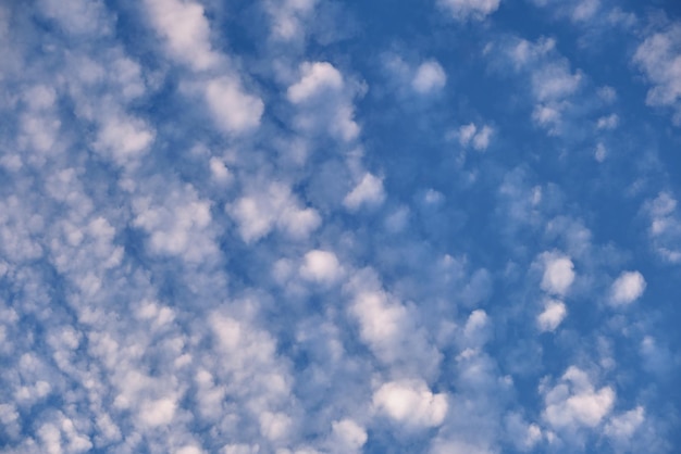 Helder landschap van witte gezwollen wolken verspreid over blauwe heldere hemel.