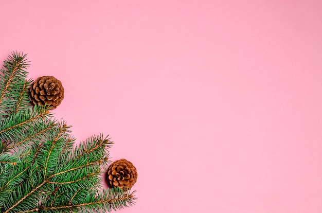 Helder roze Kerstmis achtergrond met fir takken en dennenappels. Kopieer de ruimte, plat leggen. Uitzicht van boven.