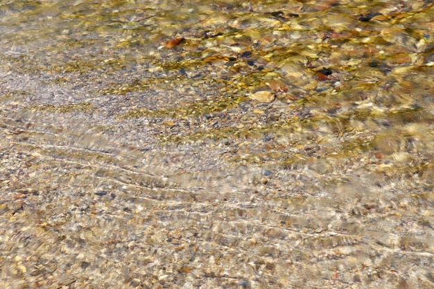 Helder water dat door de kiezels in de kreek stroomt