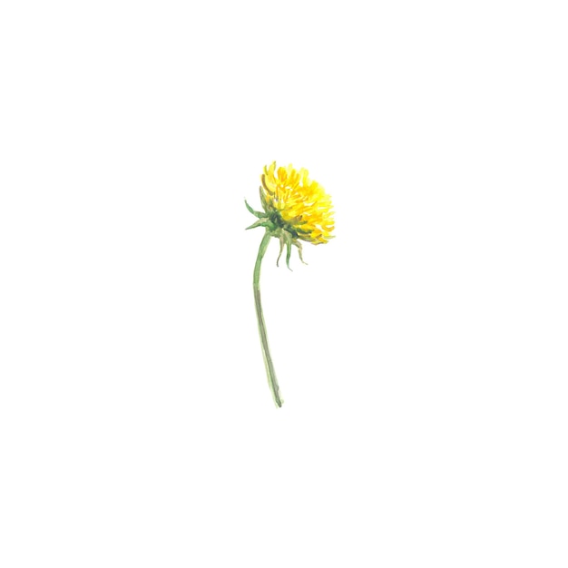 Heldere aquarel bloem met blad geïsoleerd op gemakkelijk te snijden witte achtergrond
