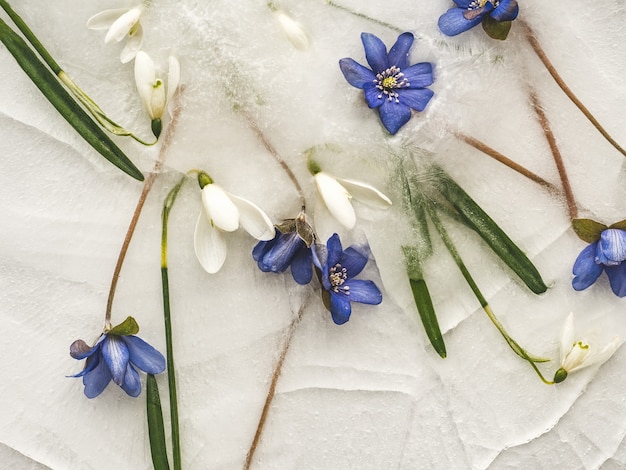 Heldere bloemen die in het ijs liggen.