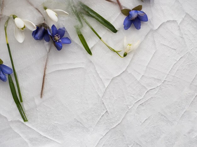 Heldere bloemen die in het ijs liggen.