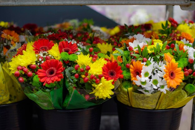 Heldere boeketten gerbera's in emmers op de markt