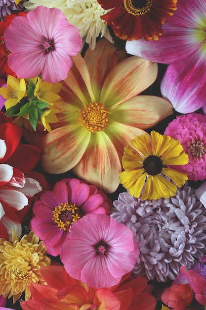 Heldere florale achtergrond, bovenaanzicht. verschillende tuinbloemen, natuurlijke achtergrond.