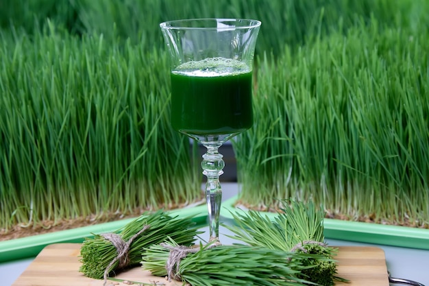 Heldere foto van gezonde voedzame drank in glas tegen achtergrond microgreens