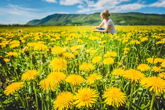 Heldere gele paardebloemen op groen veld