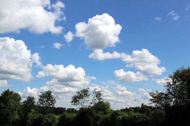 heldere hemel met veel witte weelderige wolken boven bosbomen