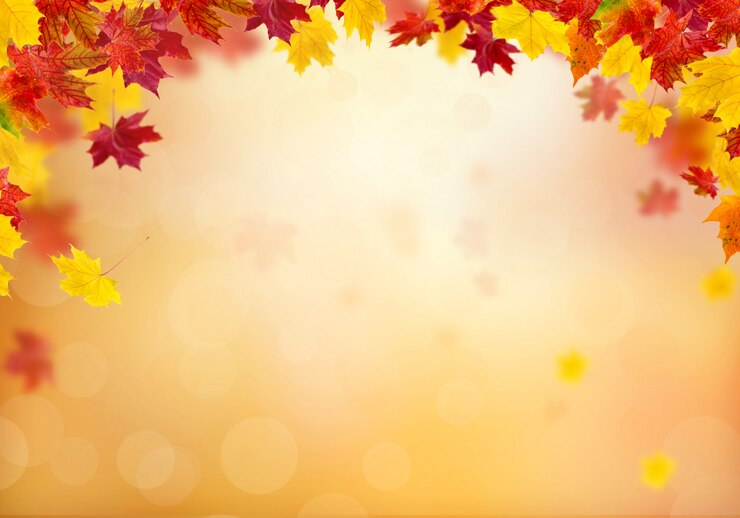 Foto heldere herfstbladeren.