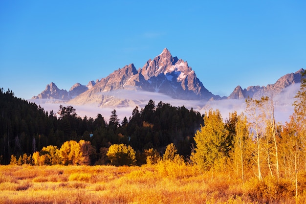 Heldere kleuren van het herfstseizoen in Grand Teton National Park, Wyoming, VS