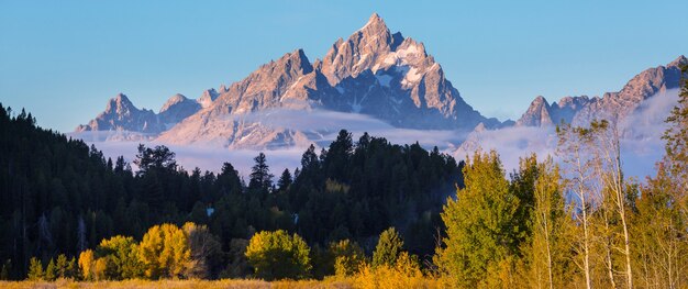 Heldere kleuren van het herfstseizoen in het grand teton national park, wyoming, vs.