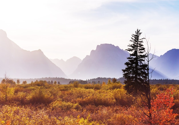 Heldere kleuren van het herfstseizoen in het Grand Teton National Park, Wyoming, VS.