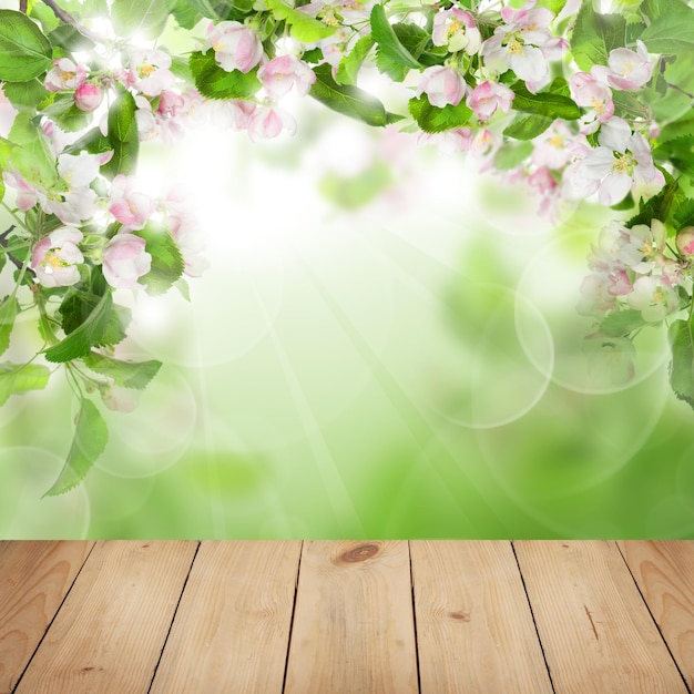 Heldere kleurrijke achtergrond met lente bloemen groene bladeren Bokeh licht en lege houten Showcase