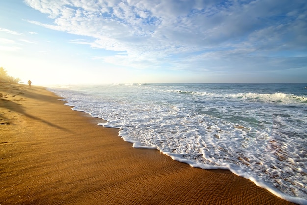 Heldere ochtend op een zandstrand van de oceaan