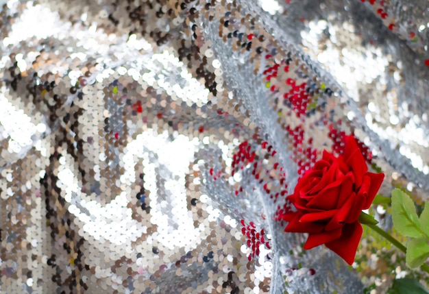 Heldere scharlaken roos op een glanzende zilveren stof Glanzend materiaal met een mooie bloem Platte lay