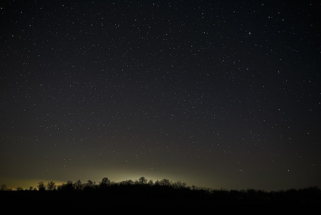 Heldere sterren aan de nachtelijke hemel in een bos. Landschap met een lange blootstelling.