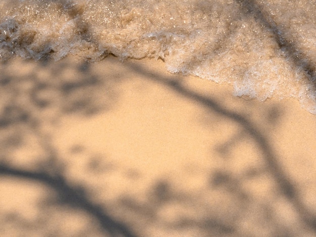 Heldere strand achtergrond beweging van helder zeewater en golf branding op schoon zandstrand oceaan kust scène kustlijn Tropische boom schaduw op het strand zomervakantie vakantie poster achtergrond