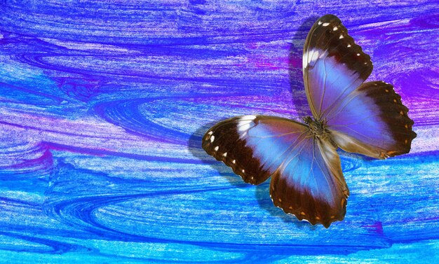 Foto heldere tropische morpho vlinder op een wazige abstracte aquarel achtergrond