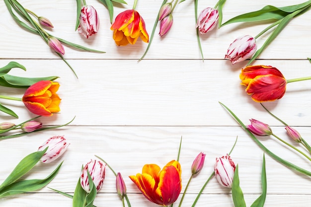 Heldere tulpen met kopie ruimte