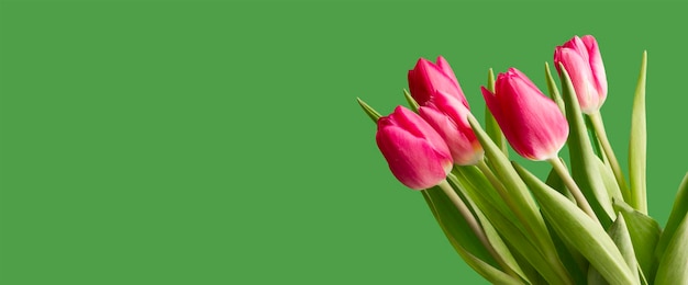 heldere tulpen op een groene achtergrond artistiek concept van de vakantie 8 maart verjaardag