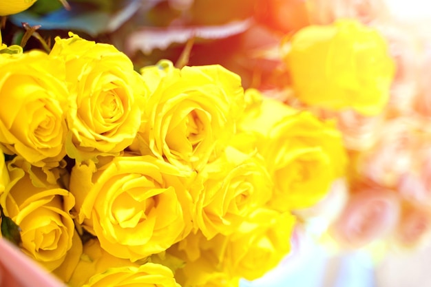 Heldere verse gele rozen voor een speciale dag liggend op de tafel Mooi boeket gele bloemen Close-up