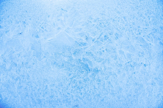 Heldere winter natuur close-up voor kerst ontwerp