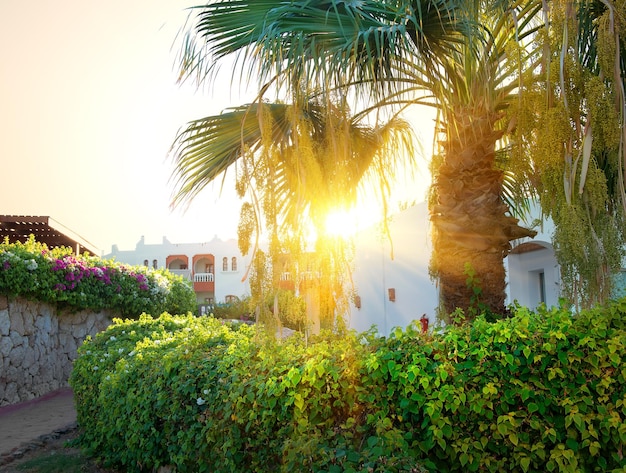Heldere zonsopgang boven resorthotel in egypte