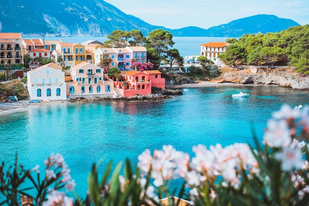 Helderwitte bloemen bloeien voor de turkoois gekleurde baai in de Middellandse Zee en prachtige kleurrijke huizen in het dorp Assos in Kefalonia, Griekenland