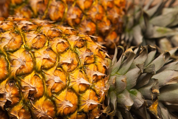 Hele ananas met groene paardestaarten close-up